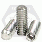 Flat Point Socket Set Screws, Stainless Steel 18 8 