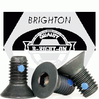 Flat Socket Cap, Nylon Pellet, Black Alloy 