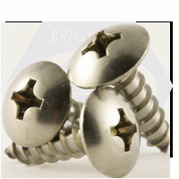Self Tapping Screw, Phillips Truss Head, Type A, Stainless Steel 18 8 
