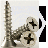 Self Tapping Screw, Phillips Flat Head, Type A, Stainless Steel 18 8 